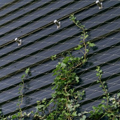 Jakob-Rope-Systems-GreenSolutions (31)