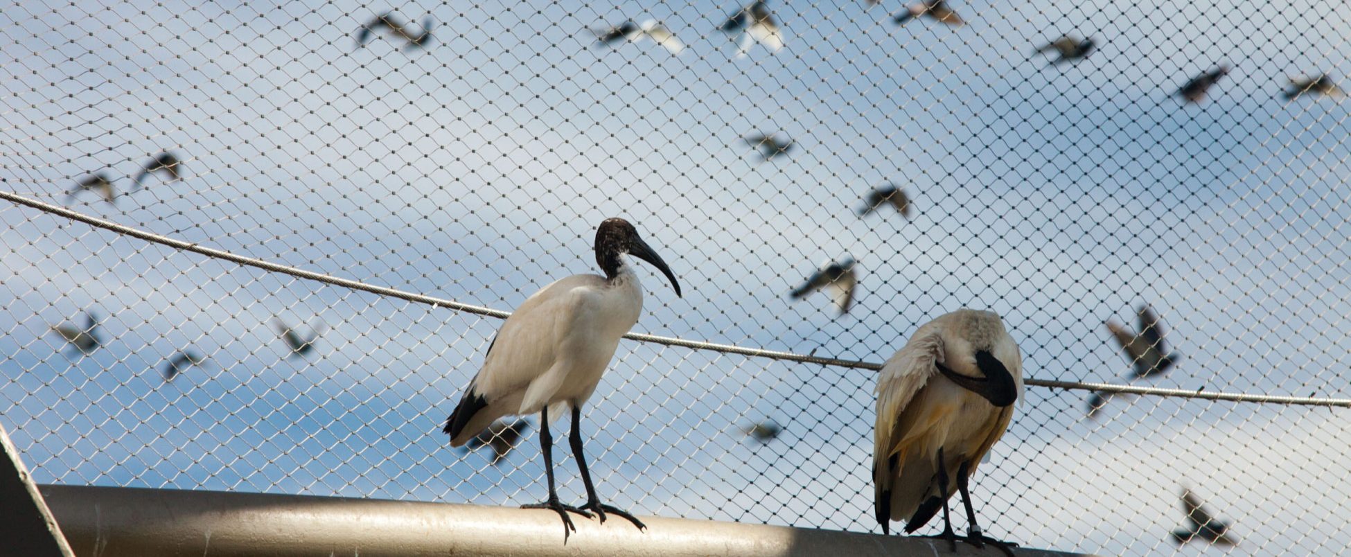 Jakob-Rope-Systems-Zoo-16-scaled