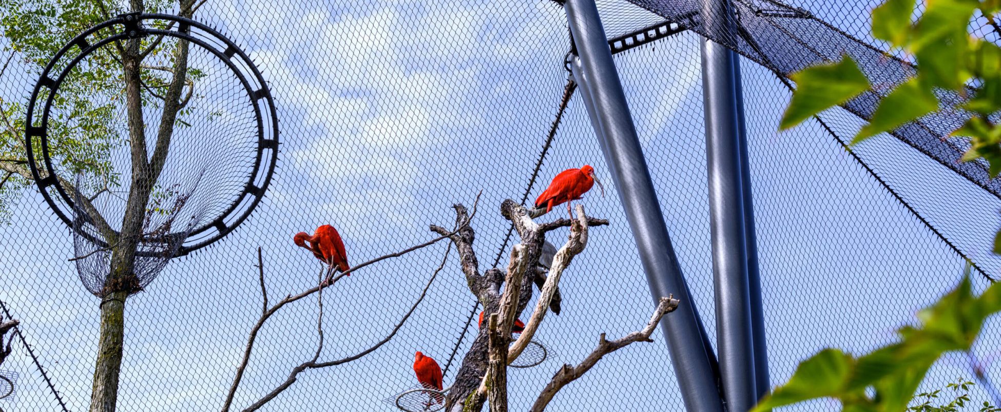 Jakob-Rope-Systems-Zoo-19-scaled